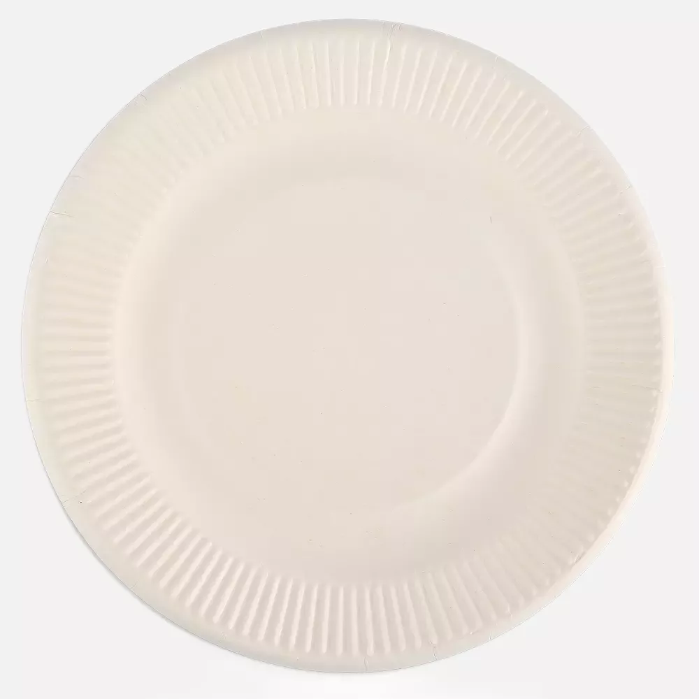 NATUREStar 410525, Organic Bagasse Snack Plates, Ø 254 mm, Round, image 2