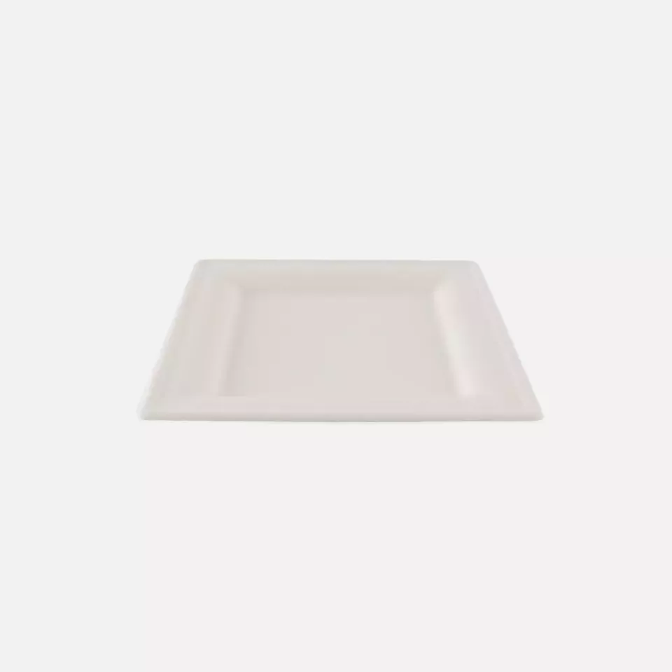 NATUREStar 41020, Quadratische Bio-Bagasse-Teller, 200 x 200 mm, image 3, gallery thumbnail