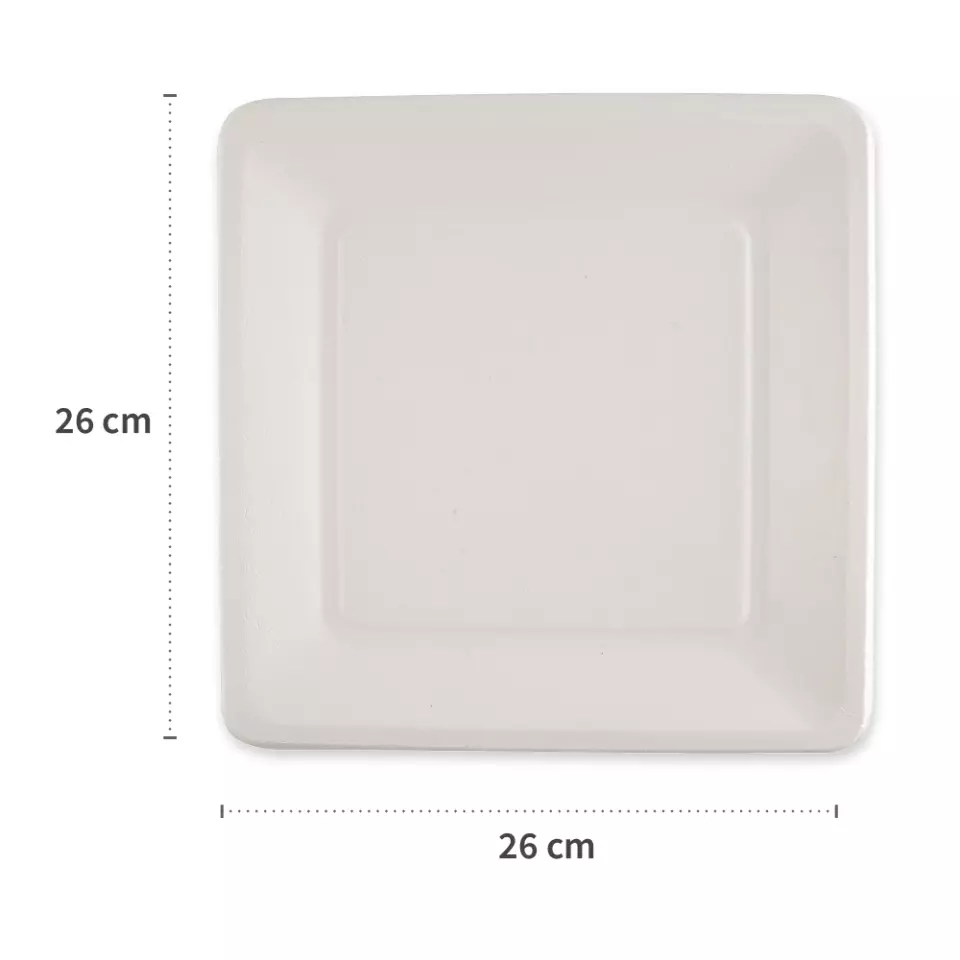 NATUREStar 41028, Bio-Bagasse-Teller, 260 x 260 mm, image 2, gallery thumbnail