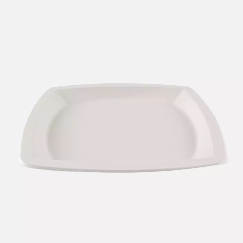 NATUREStar 41024, Square Bagasse Plates, 250 x 250 mm, image 3, gallery thumbnail