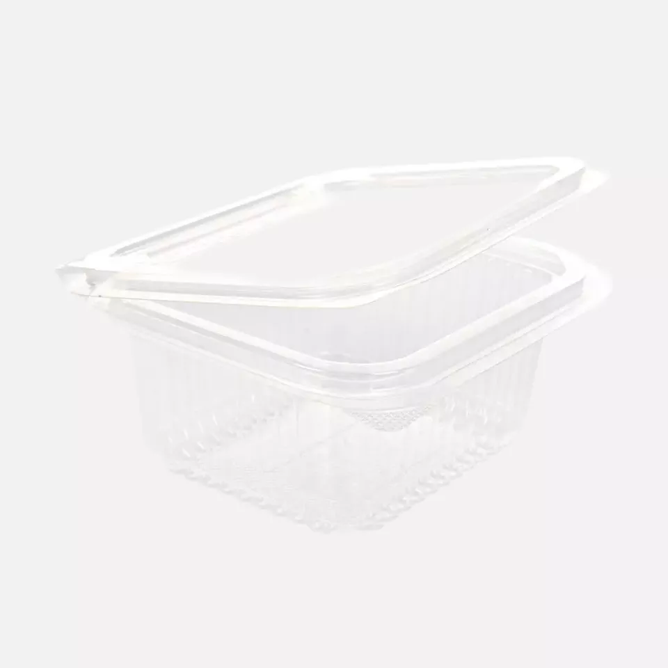 Franz Mensch 423901, PLA Deli & Salad Bowls, 370 ml, Organic, Rectangular, with Hinged Lid, image 1, gallery thumbnail