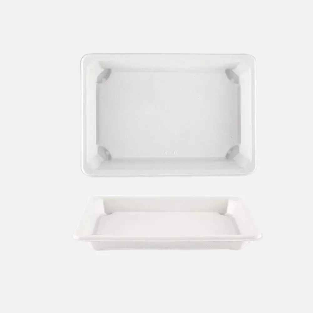 NATUREStar 411203, Bio Bagasse Sushi-Schalen, L (185 x 128 x 21 mm), image 2