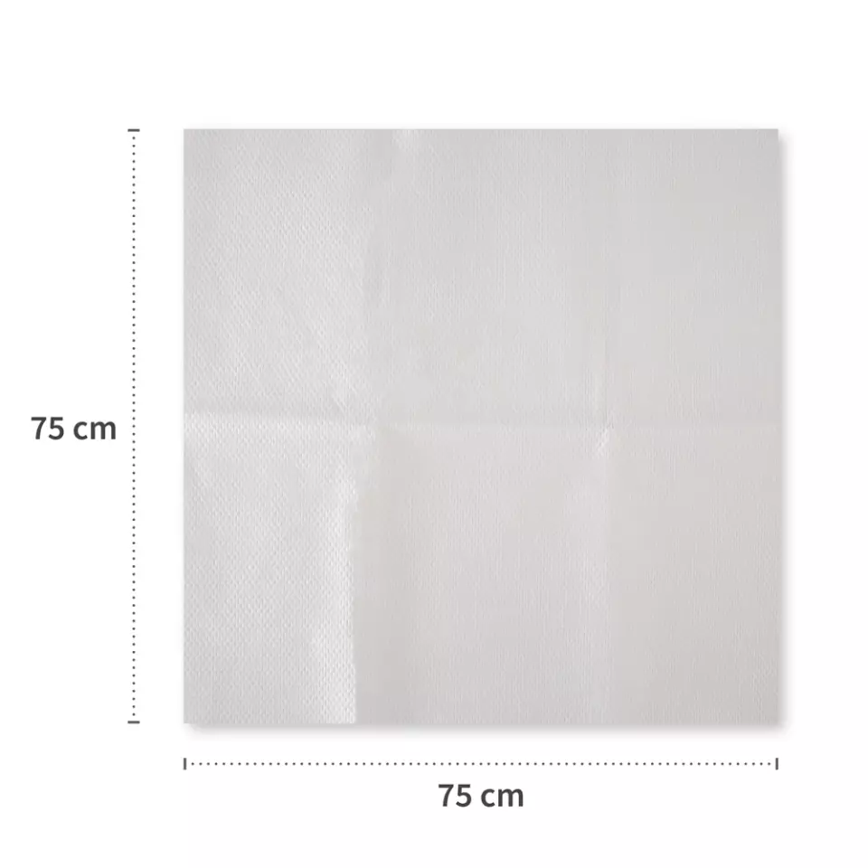 HygoStar 3190, Filterstar Straining Cloths, Special Nonwoven Fabric, Pleated, Box of 25, image 4, gallery thumbnail