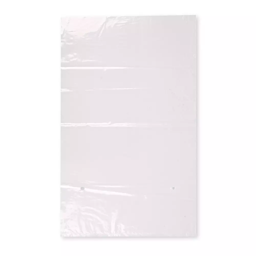 Franz Mensch 955103, LDPE Flat Bags, 300 x 500 mm