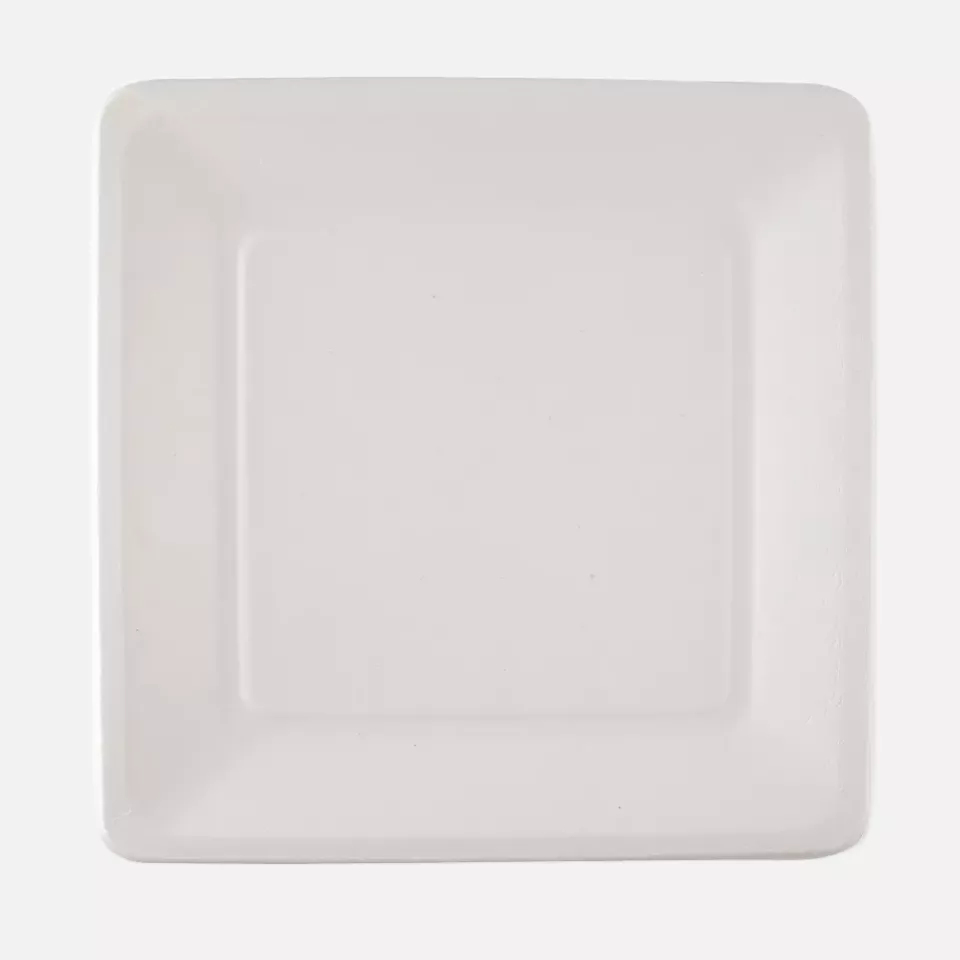 NATUREStar 41028, Bio-Bagasse-Teller, 260 x 260 mm, image 1, gallery thumbnail