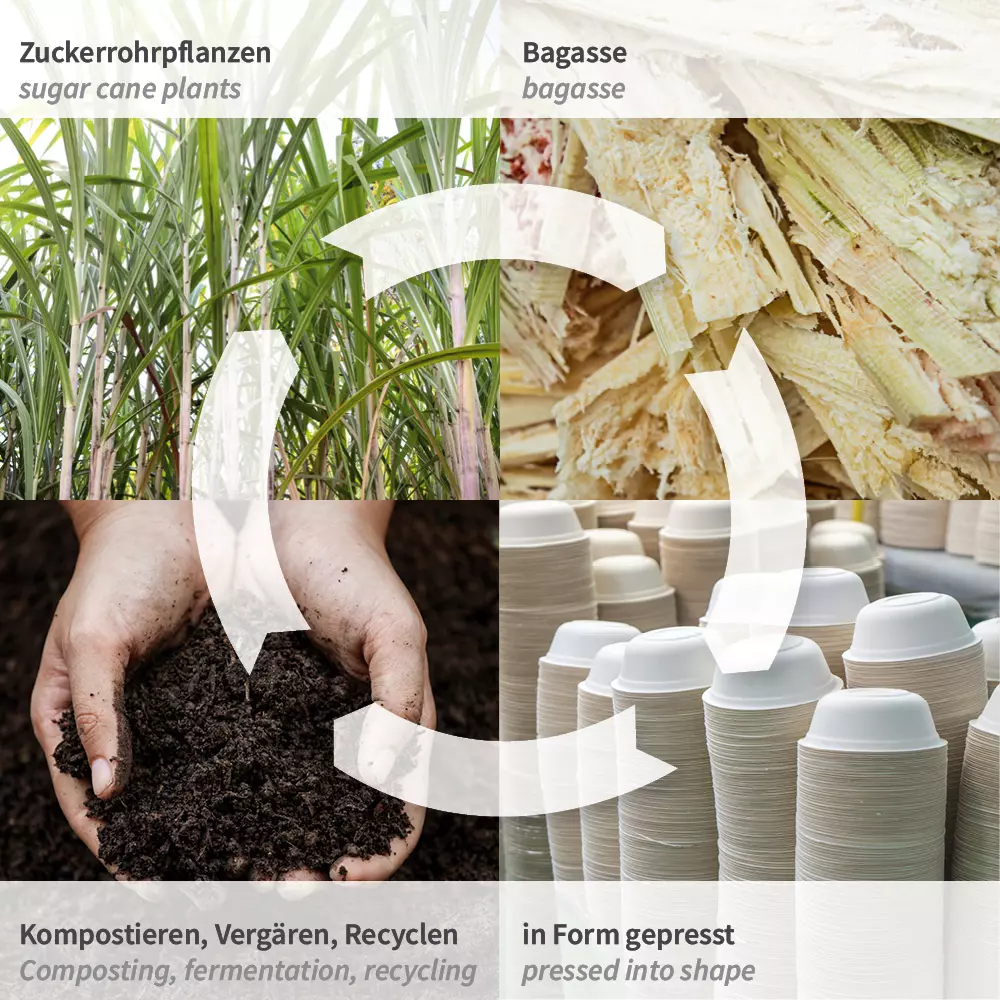 NATUREStar 412175, Organic Bagasse Menu Boxes with Hinged Lid, image 6