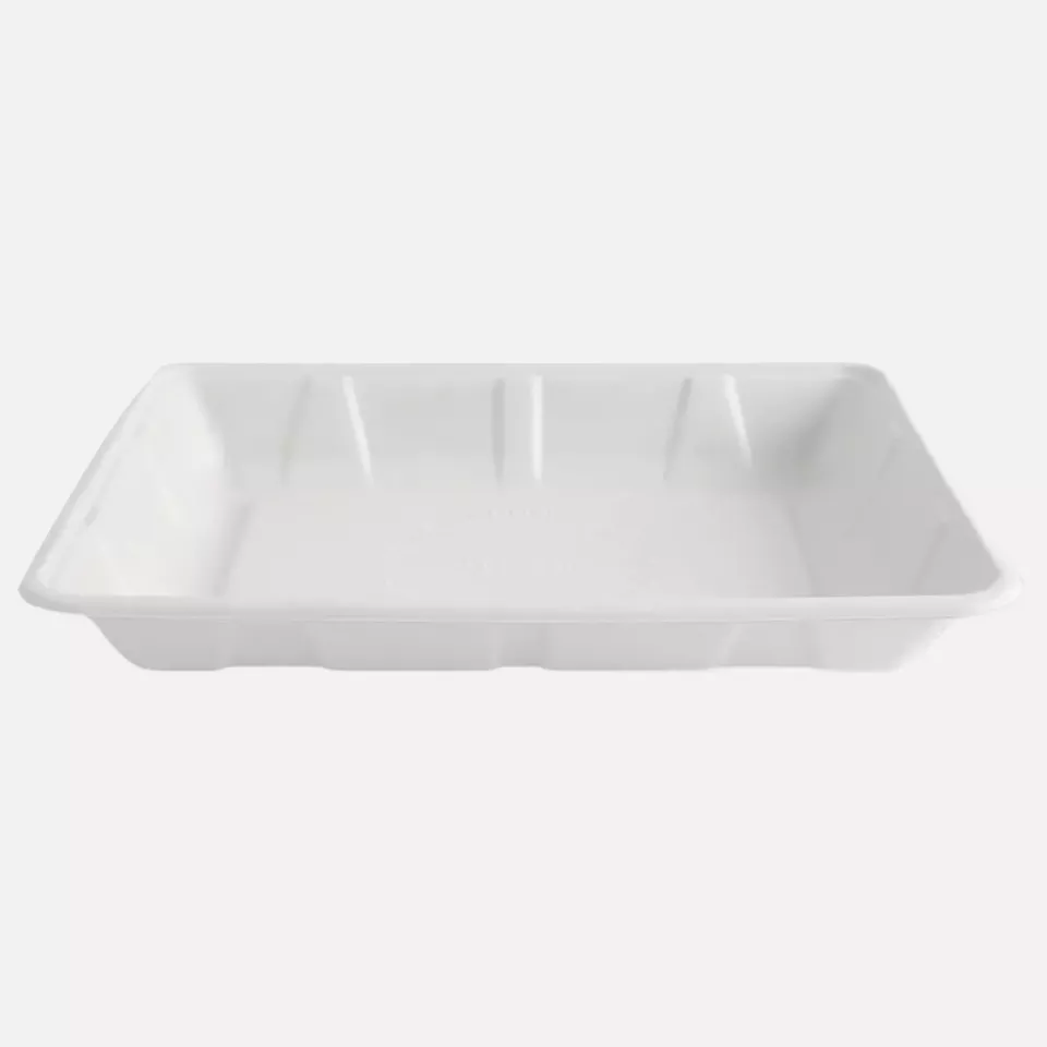 NATUREStar 41160, Organic Bagasse Foodtrays, 260 x 115 x 30 mm, image 2, gallery thumbnail