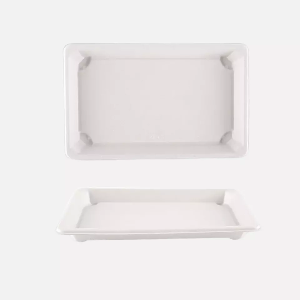 NATUREStar 411204, Bio-Bagasse Sushi-Schalen, XL 216 x 136 x 20 mm, image 2, gallery thumbnail