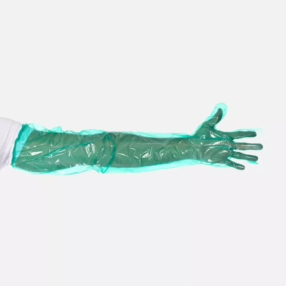 HygoStar 2621, Softline Long Plus LDPE Gloves, Green, image 3, gallery thumbnail