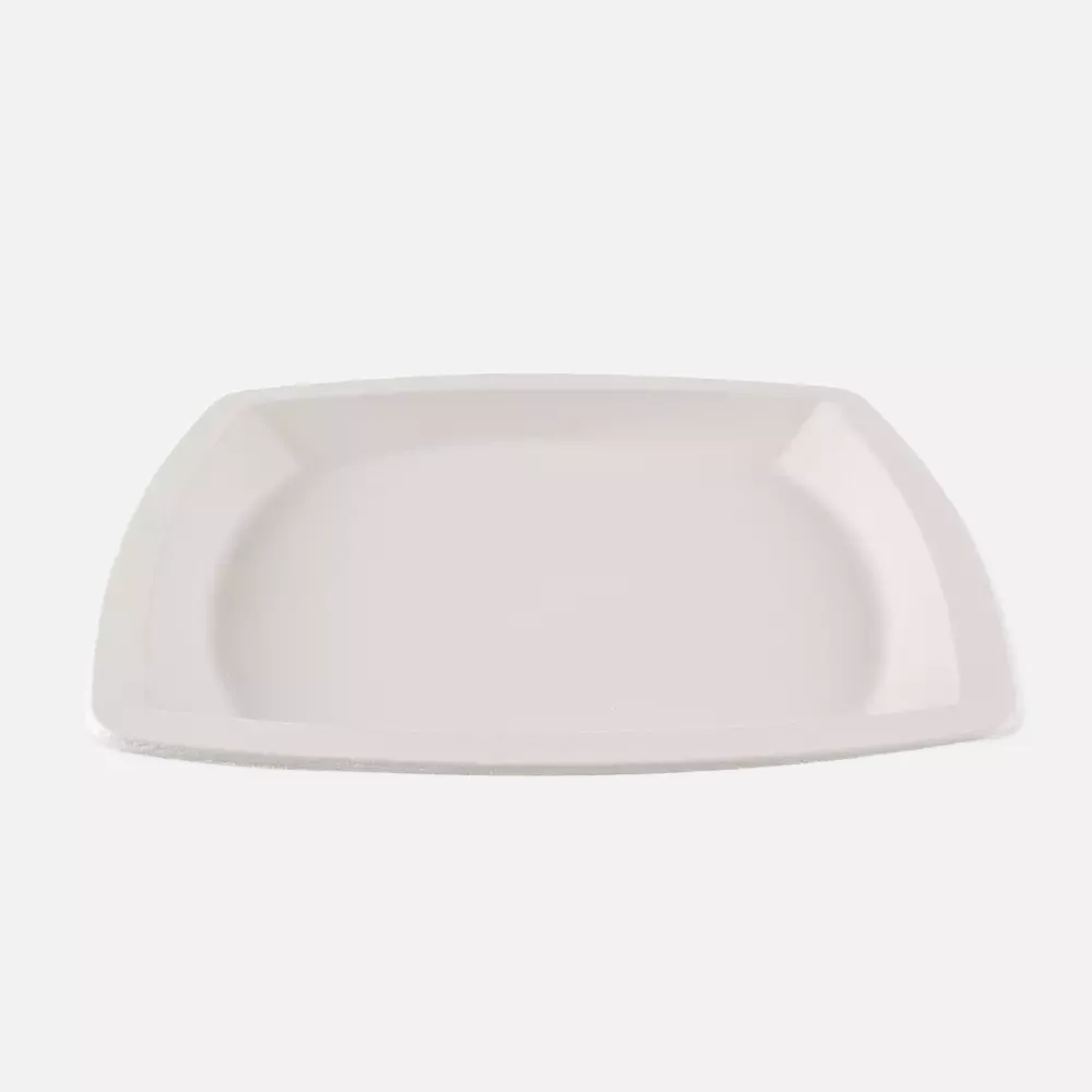 NATUREStar 41024, Square Bagasse Plates, 250 x 250 mm, image 3