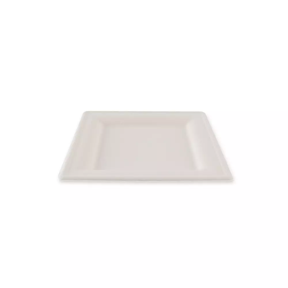 NATUREStar 41020, Organic Square Bagasse Plates, 200 x 200 mm, image 3