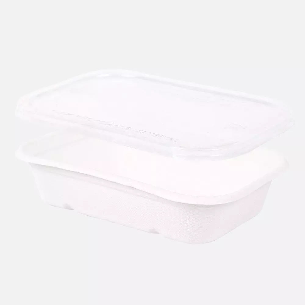 NATUREStar 41145, Casa Organic Bagasse Trays, 500 ml, 175 x 120 x 38 mm, image 2