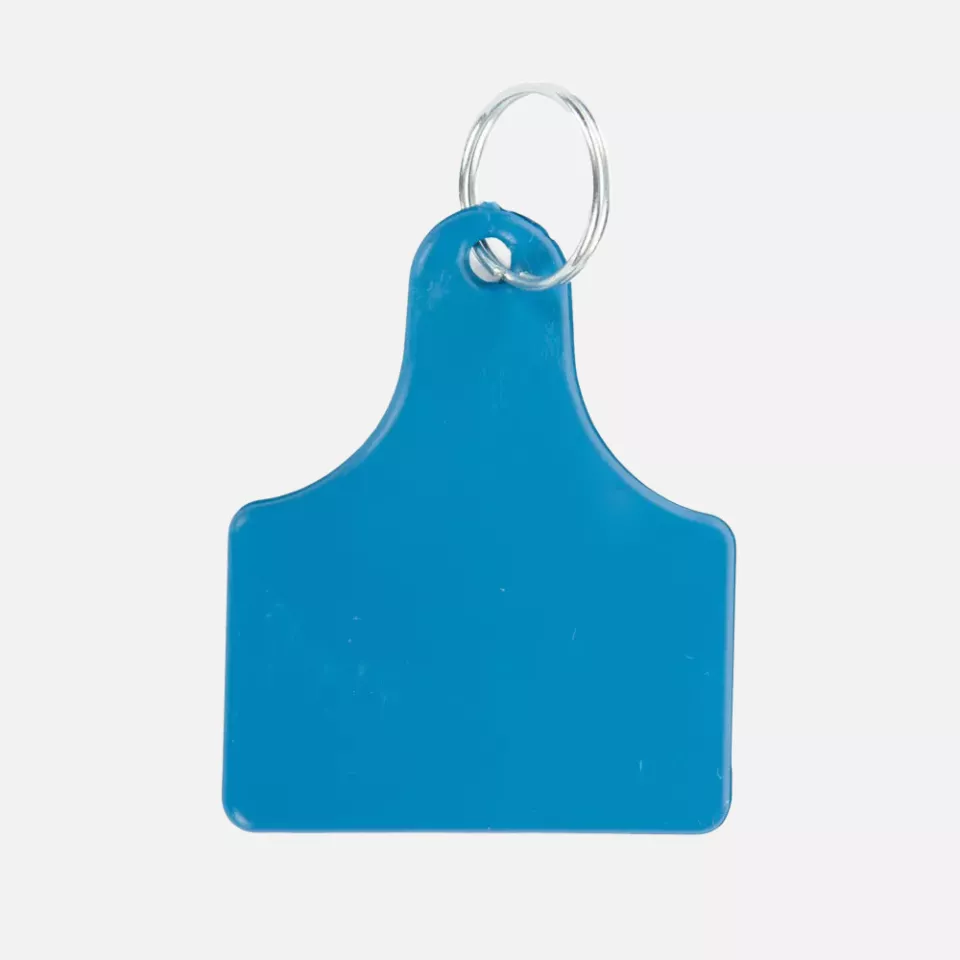 HygoStar 85418, Detectable Plastic Keychains, 55 x 65 mm, image 1, gallery thumbnail