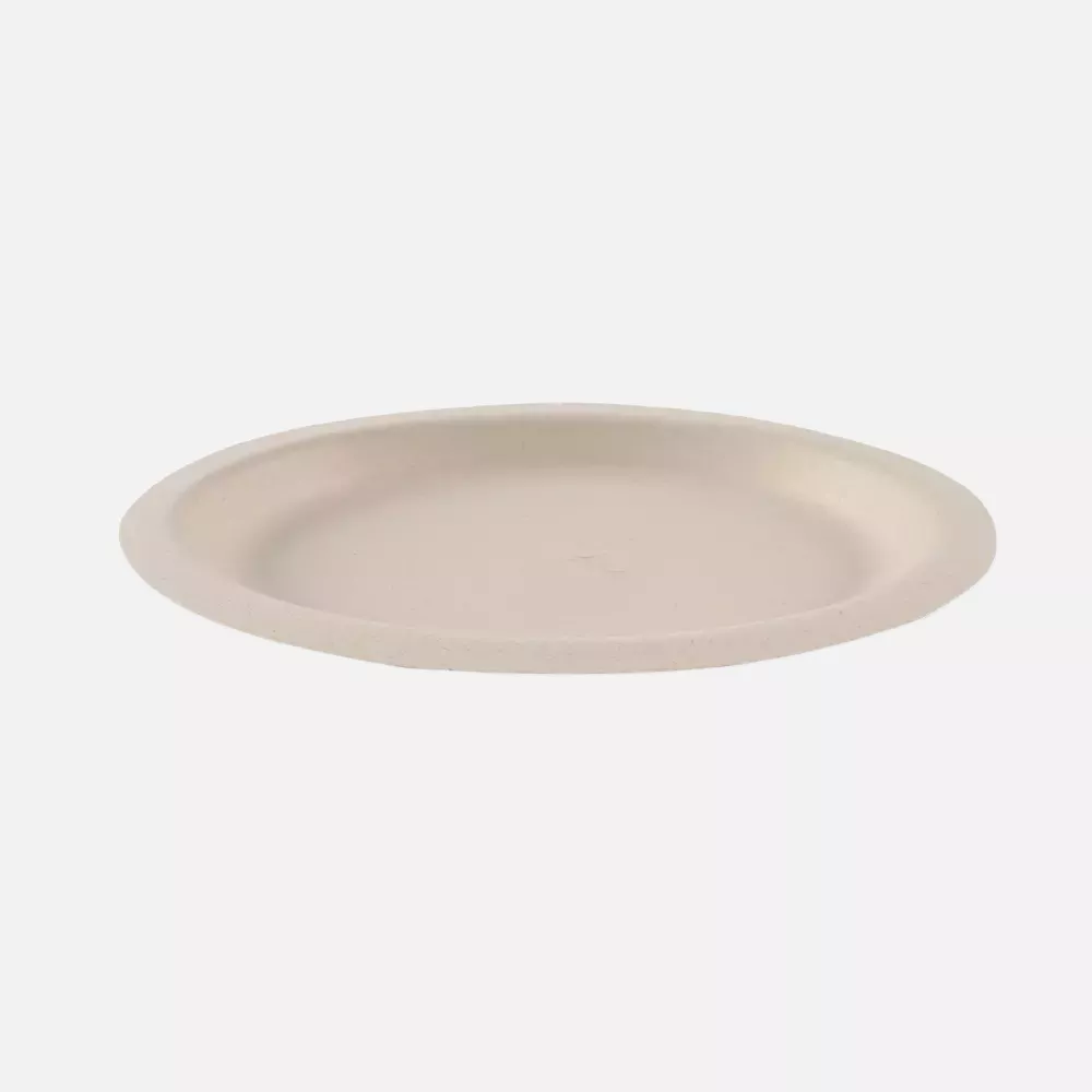 NATUREStar 410275, Oval Bagasse Plates, 260 x 200 mm, image 3