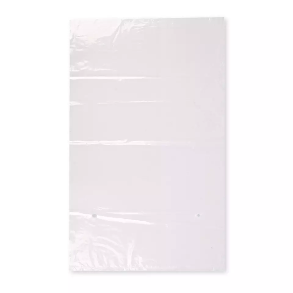 Franz Mensch 955103, LDPE Flat Bags, 300 x 500 mm
