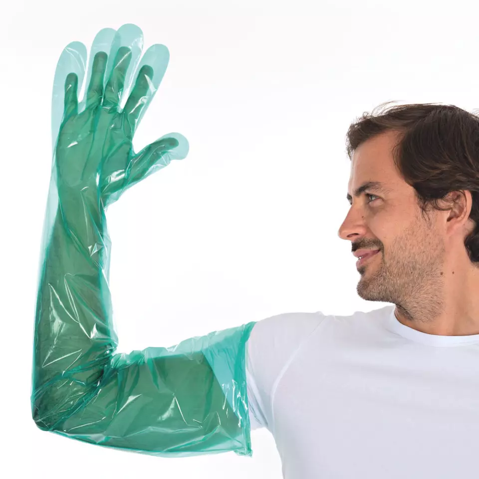 Hygostar 2620-VAR, Softline Long LDPE Gloves, Green, image 3, gallery thumbnail