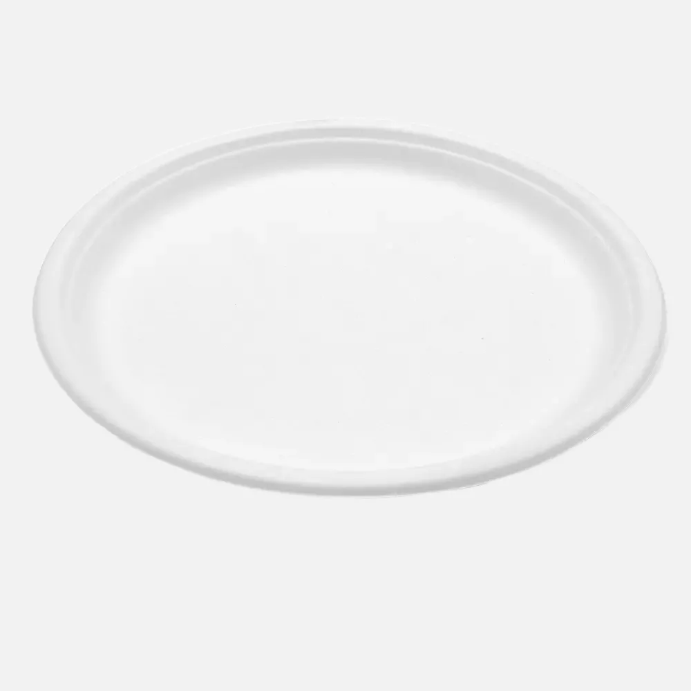 NATUREStar 41044, Bordofino Bagasse Plates, Round, Ø 225 mm, image 1