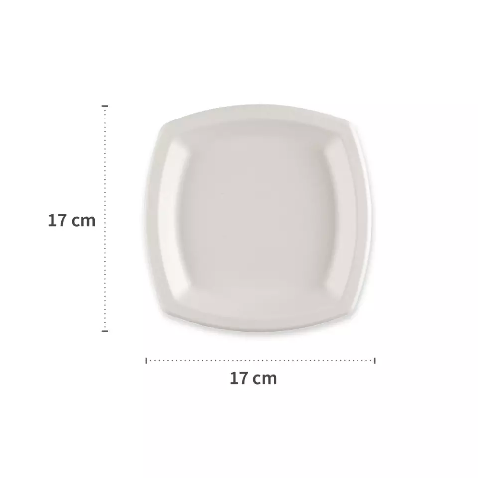 NATUREStar 41018, Square Bagasse Plates, 170 x mm, image 2, gallery thumbnail