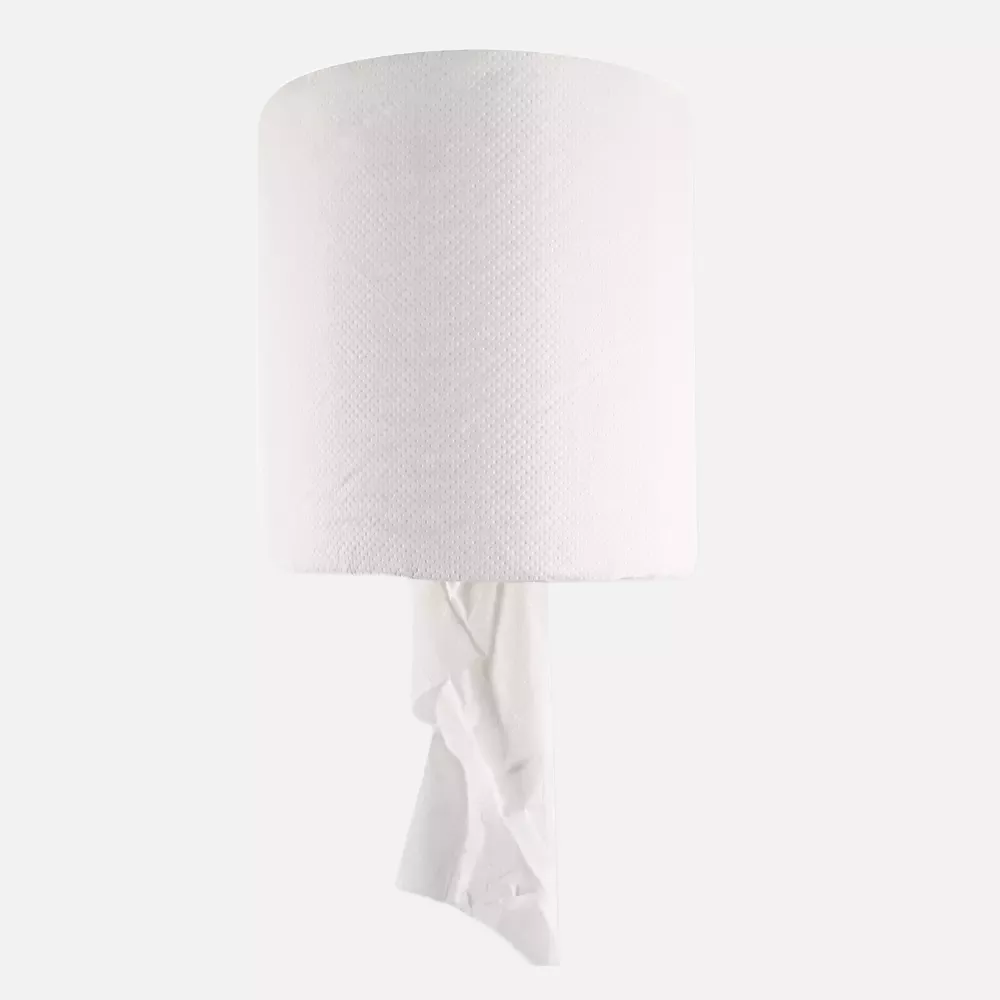 HygoClean 30410, 1-Ply Centerfeed Cellulose Paper Towel Rolls, Bright White, image 2