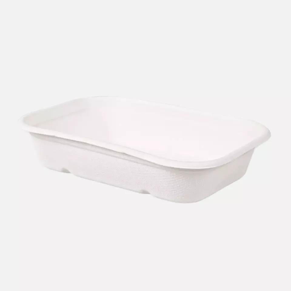 NATUREStar 41145, Casa Organic Bagasse Trays, 500 ml, 175 x 120 x 38 mm, image 1, gallery thumbnail
