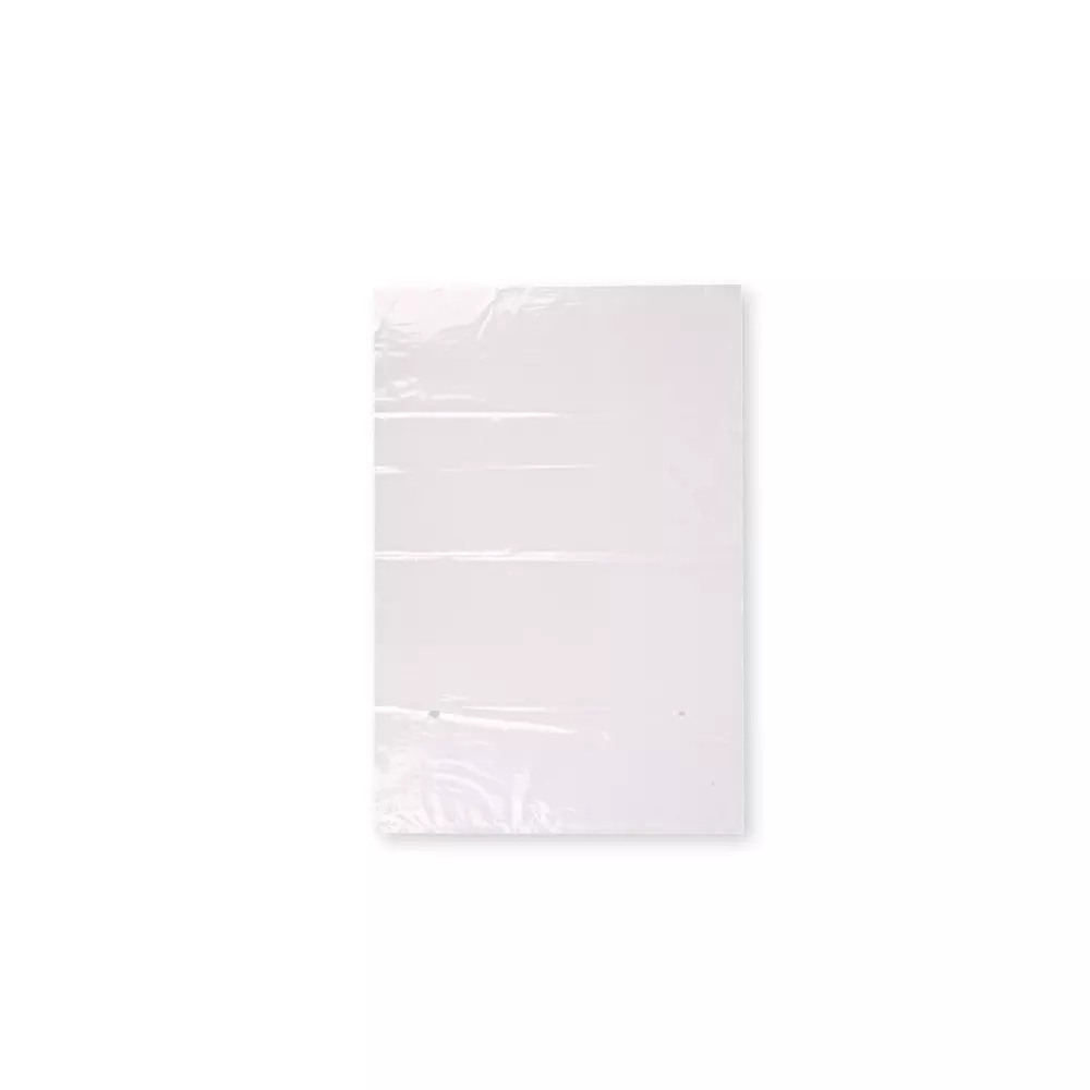Franz Mensch 955102, LDPE Flat Bags, 200 x 320 mm