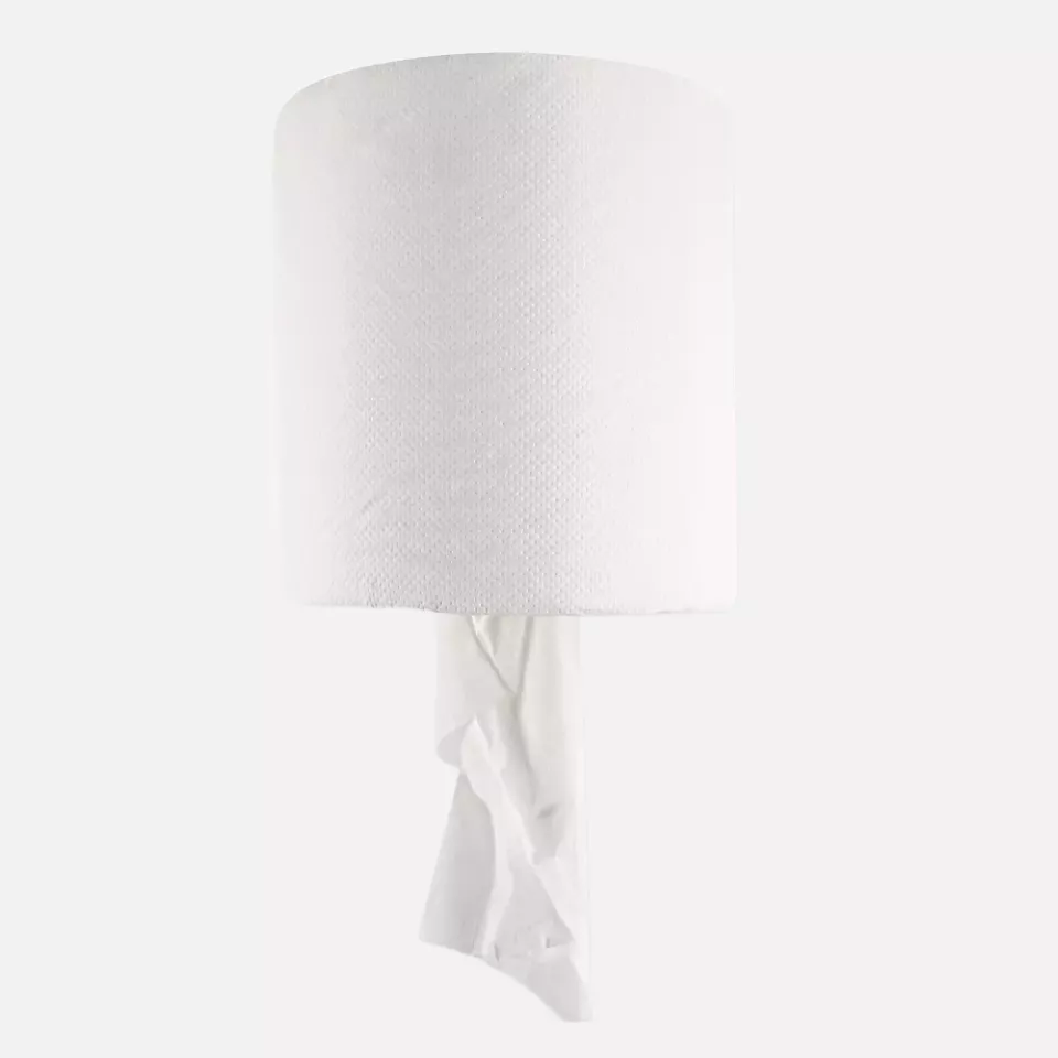 HygoClean 30410, 1-Ply Centerfeed Cellulose Paper Towel Rolls, Bright White, image 2, gallery thumbnail