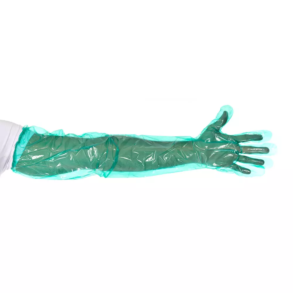 Hygostar 2621, Softline Long Plus LDPE Gloves, Green, image 3