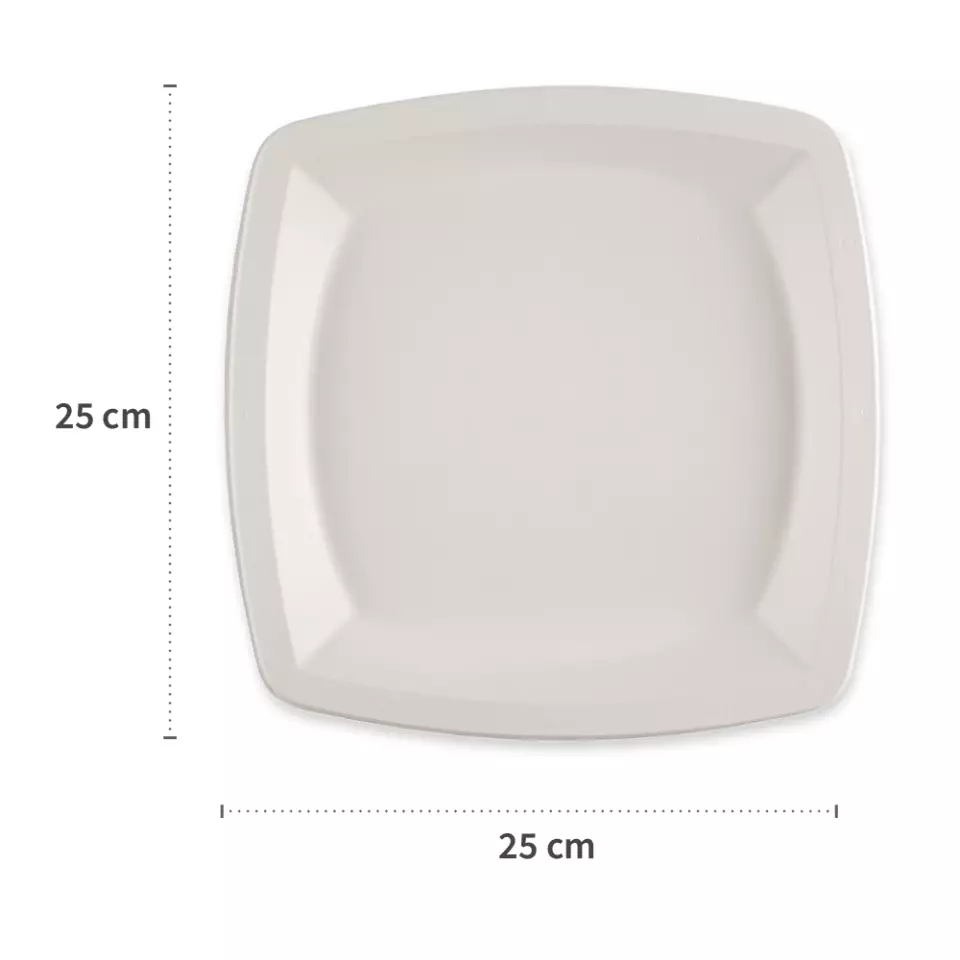 NATUREStar 41024, Square Bagasse Plates, 250 x 250 mm, image 2, gallery thumbnail