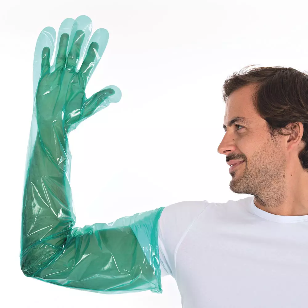 Hygostar 2620-VAR, Softline Long LDPE Gloves, Green, image 3