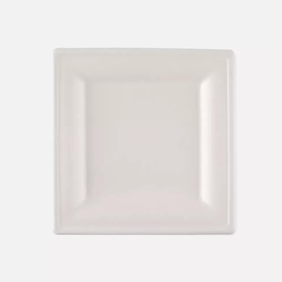 NATUREStar 41020, Quadratische Bio-Bagasse-Teller, 200 x 200 mm, image 1, gallery thumbnail