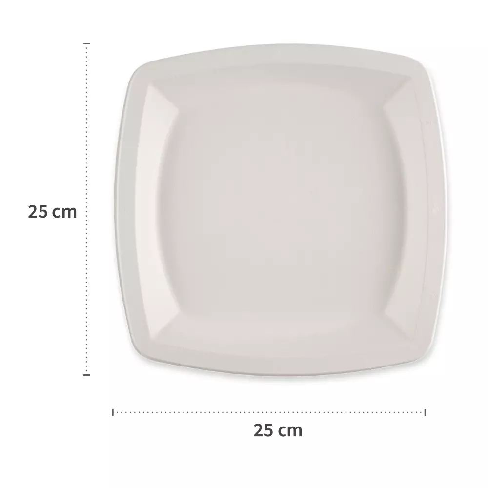 NATUREStar 41024, Square Bagasse Plates, 250 x 250 mm, image 2
