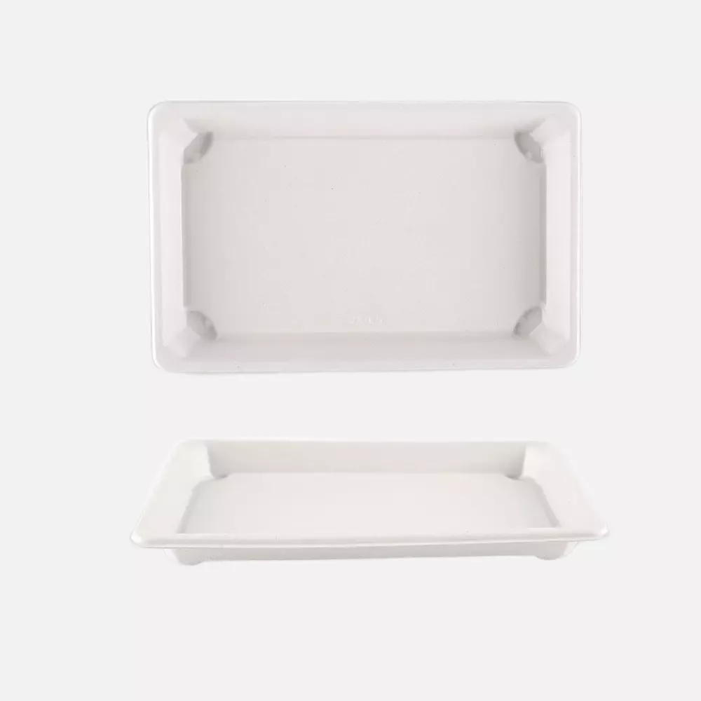 NATUREStar 411204, Bio-Bagasse Sushi-Schalen, XL 216 x 136 x 20 mm, image 2