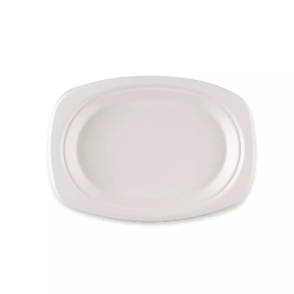 NATUREStar 41023, Oval Bagasse Plates, 230 x 165 mm