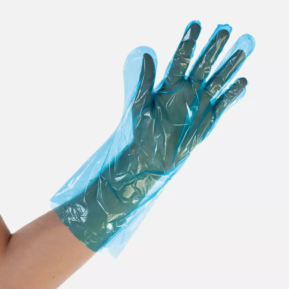 HygoStar 2551, Softline LDPE Gloves, image 1, gallery thumbnail