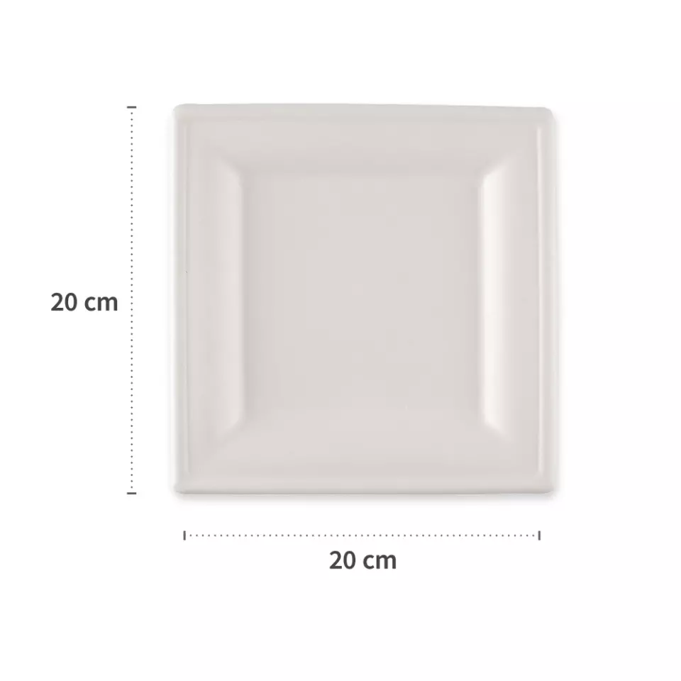 NATUREStar 41020, Organic Square Bagasse Plates, 200 x 200 mm, image 2, gallery thumbnail