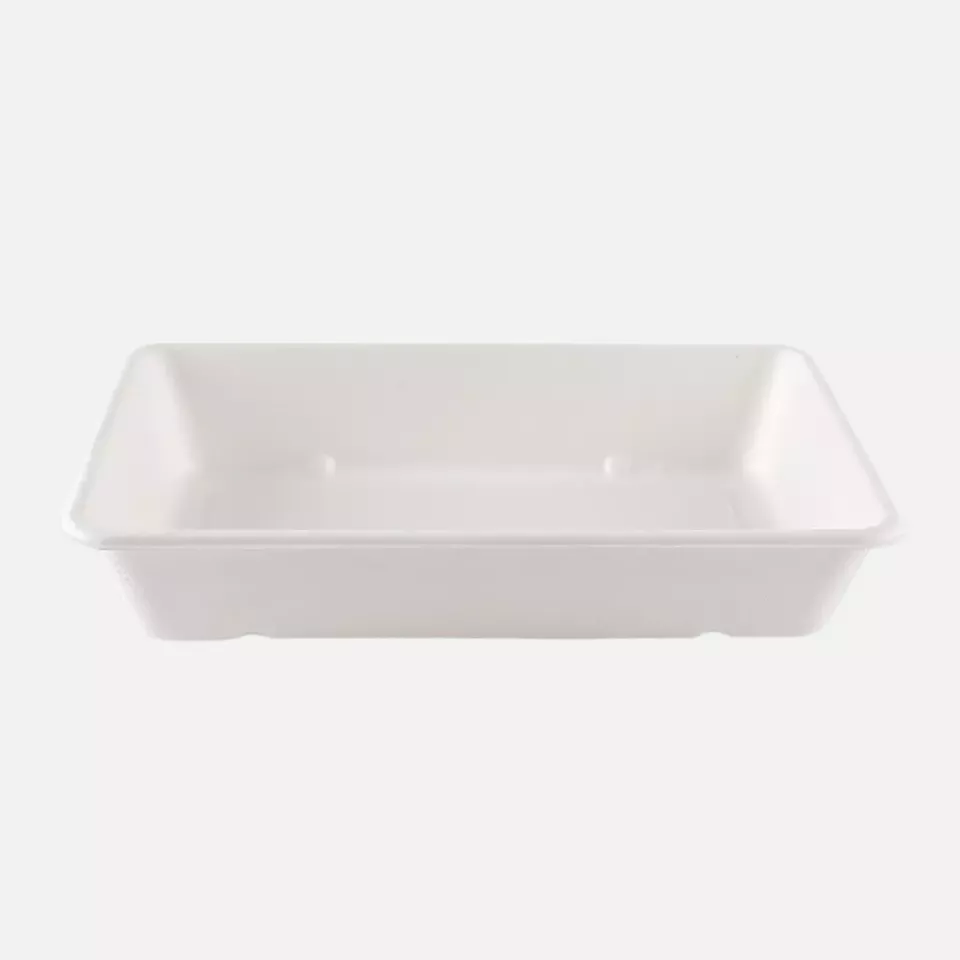 NATUREStar 41144, Classico Organic Trays, 230 x 156 x 45 mm, 1200 ml, Bagasse, image 3, gallery thumbnail