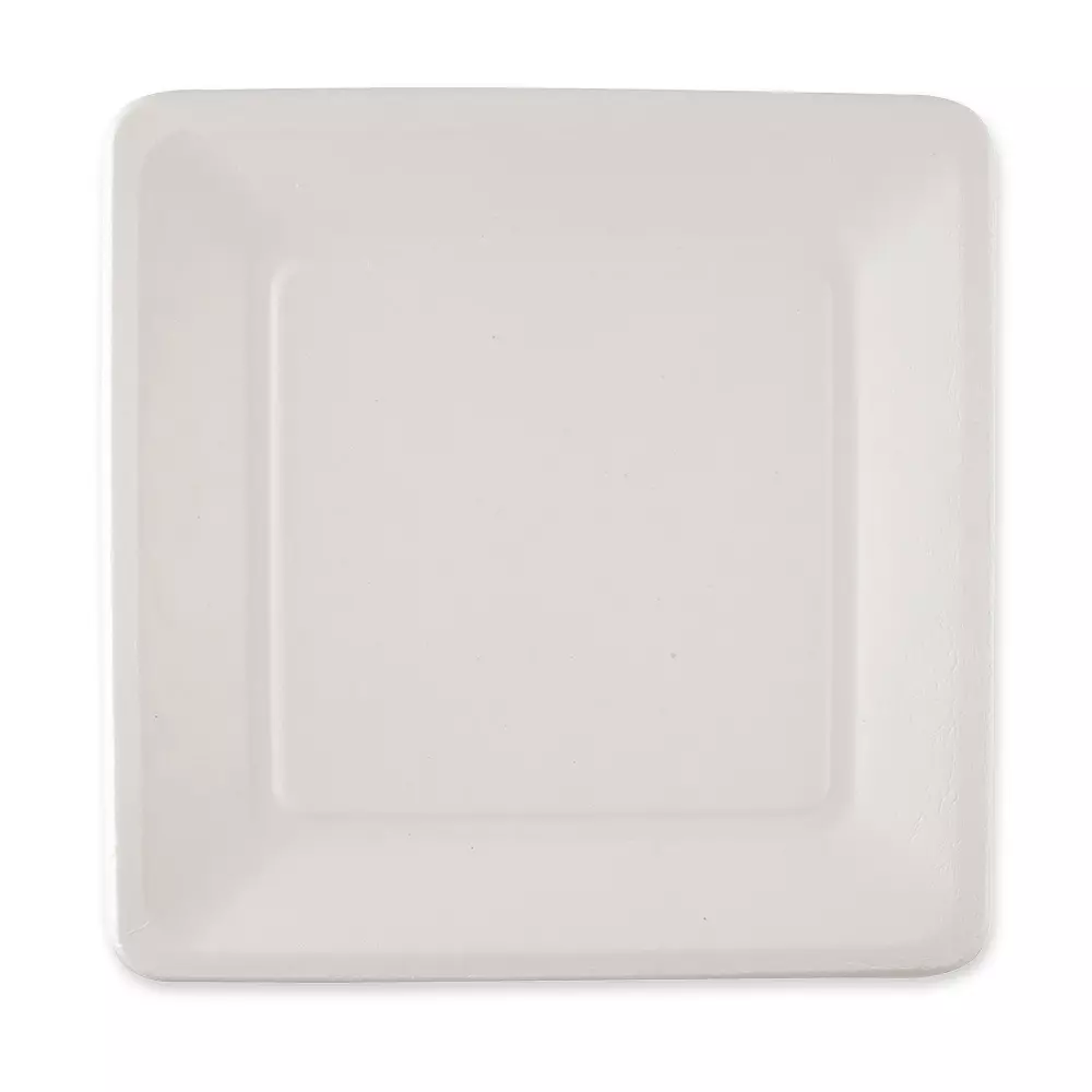 NATUREStar 41028, Bio-Bagasse-Teller, 260 x 260 mm