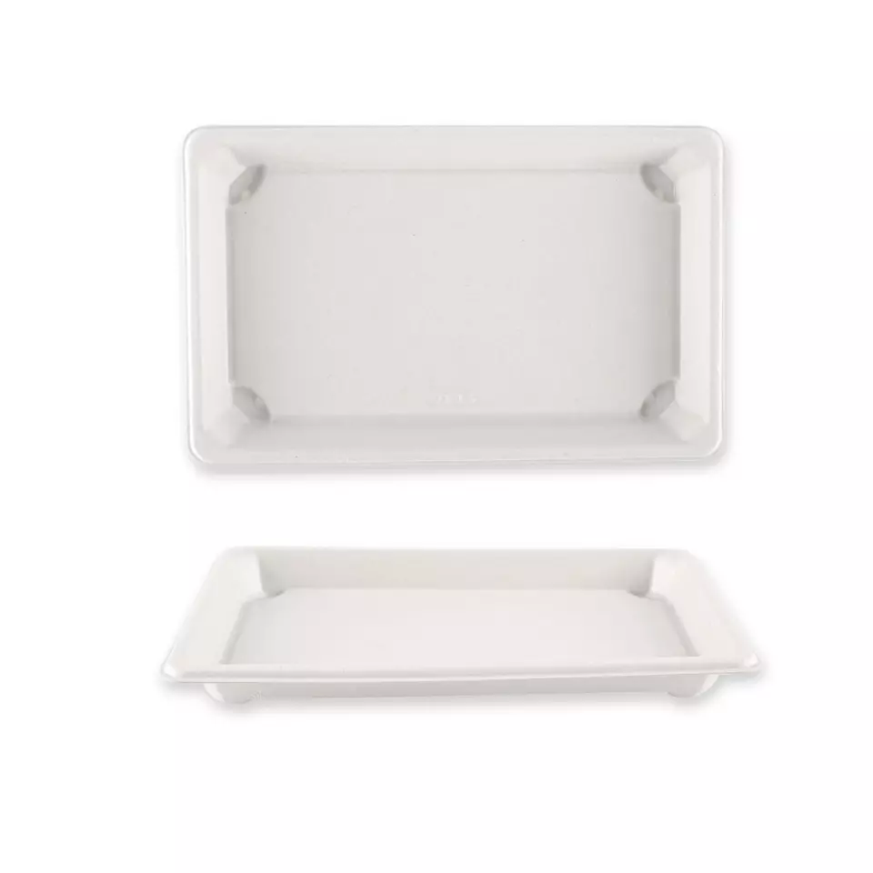 NATUREStar 411204, Bio-Bagasse Sushi-Schalen, XL 216 x 136 x 20 mm, image 2, gallery thumbnail