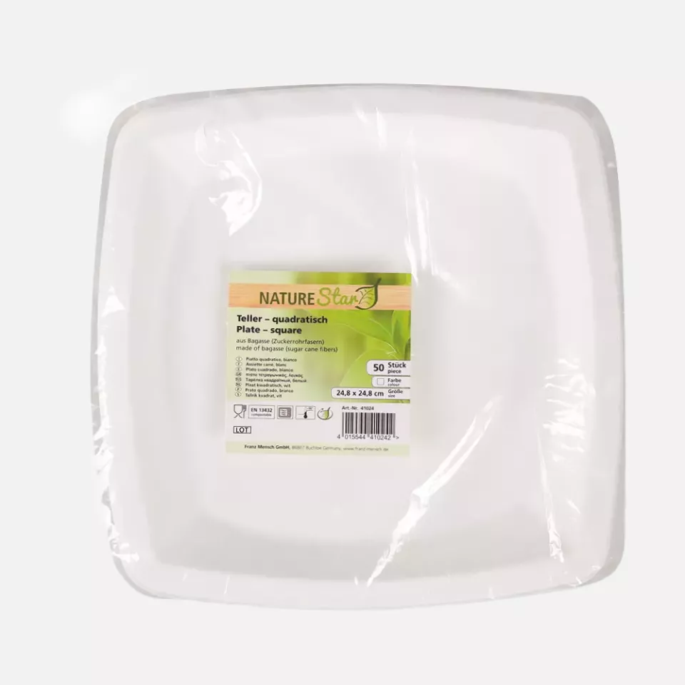 NATUREStar 41024, Square Bagasse Plates, 250 x 250 mm, image 4, gallery thumbnail
