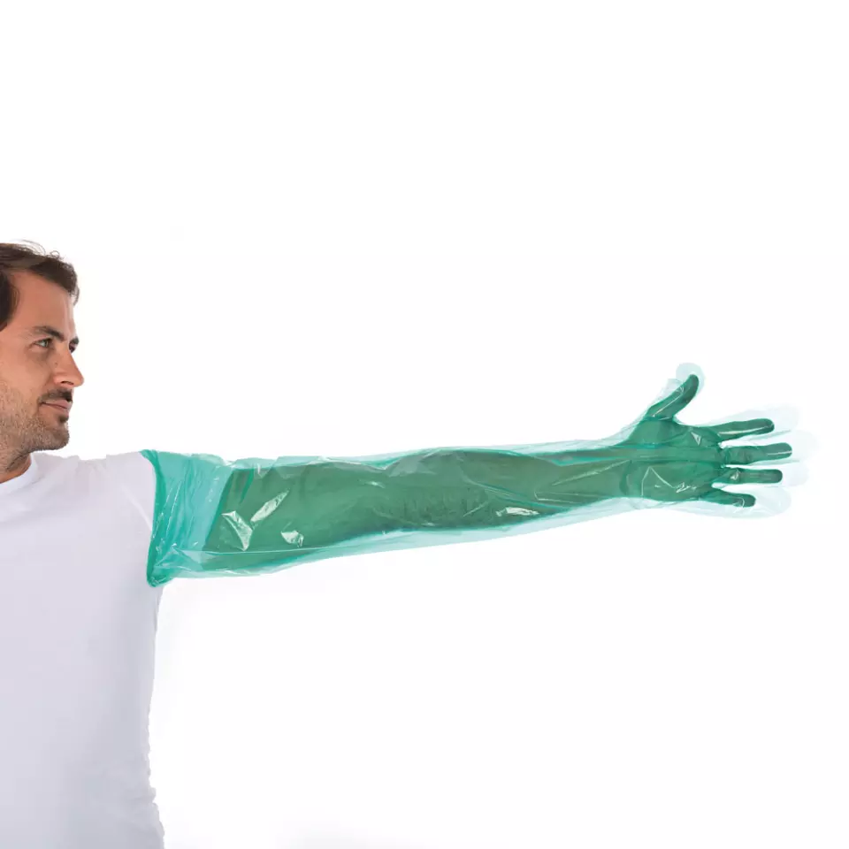 HygoStar 26207, Softline Long LDPE Gloves, Green, image 4, gallery thumbnail