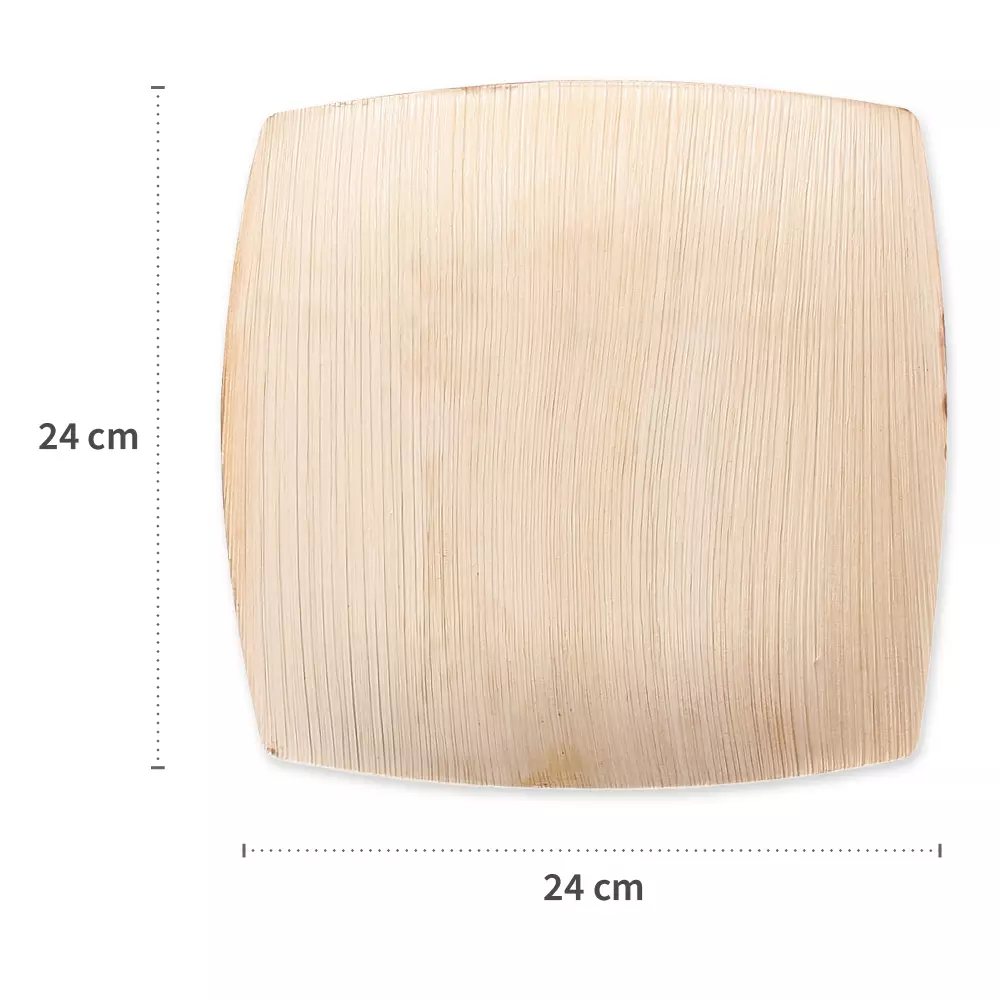 Franz Mensch 410627, Bio-Palmblatt-Teller, 240 x 240 mm, Quadratisch, image 6