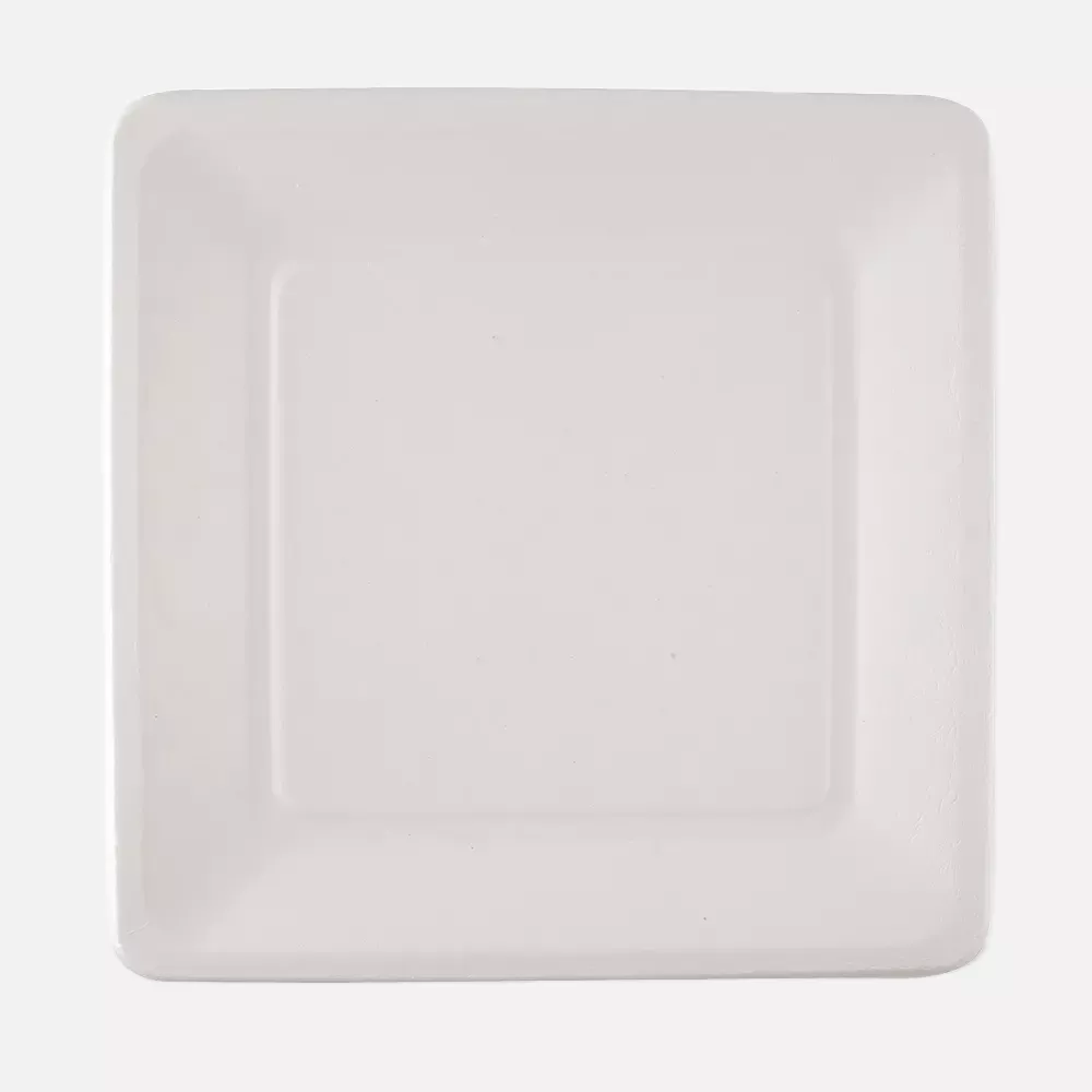 NATUREStar 41028, Bio-Bagasse-Teller, 260 x 260 mm, image 1
