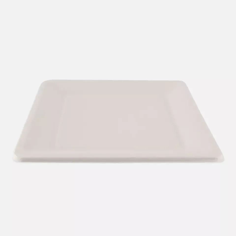 NATUREStar 41028, Bio-Bagasse-Teller, 260 x 260 mm, image 3, gallery thumbnail