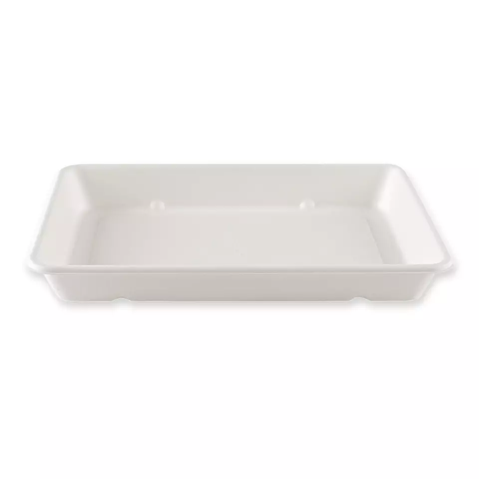 NATUREStar 411440, Classico Organic Rectangular Bagasse Trays, 230 x 156 x 31 mm, 900 ml, image 3, gallery thumbnail