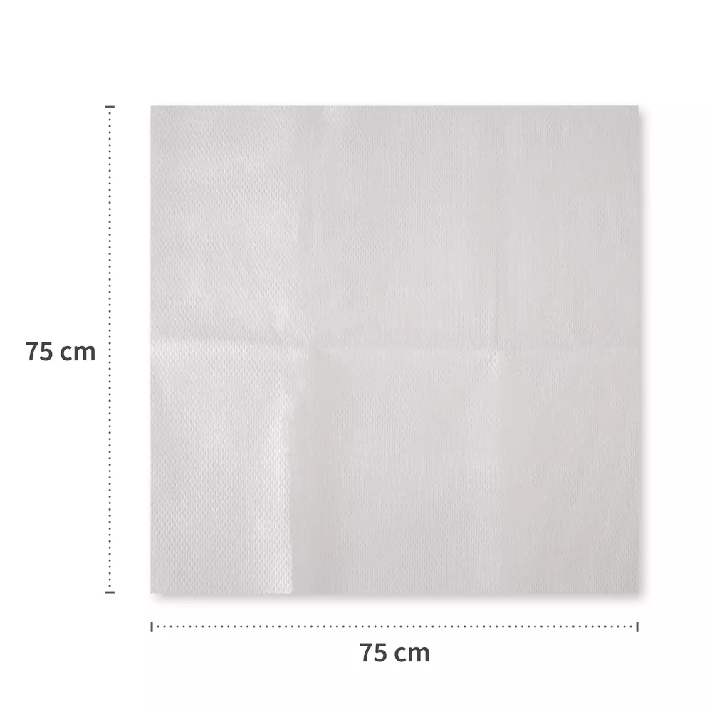 HygoStar 3190, Filterstar Straining Cloths, Special Nonwoven Fabric, Pleated, Box of 25, image 4