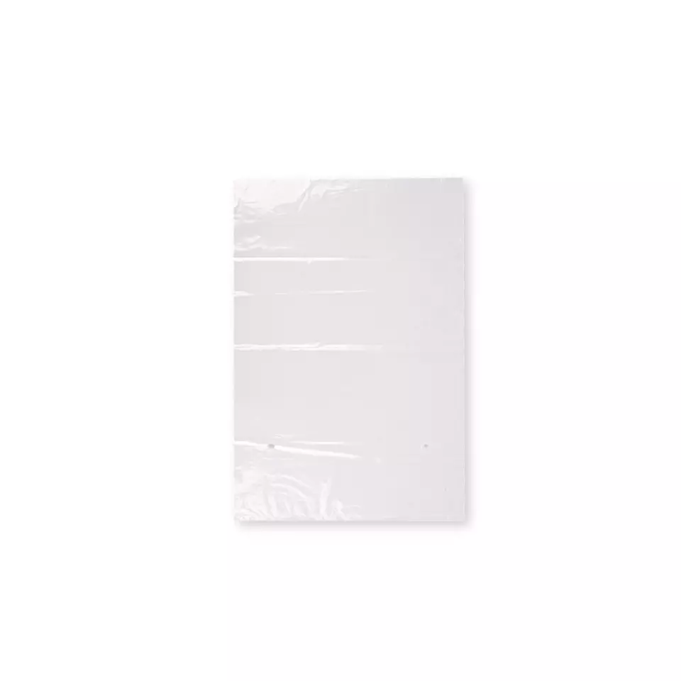Franz Mensch 955102, LDPE Flat Bags, 200 x 320 mm