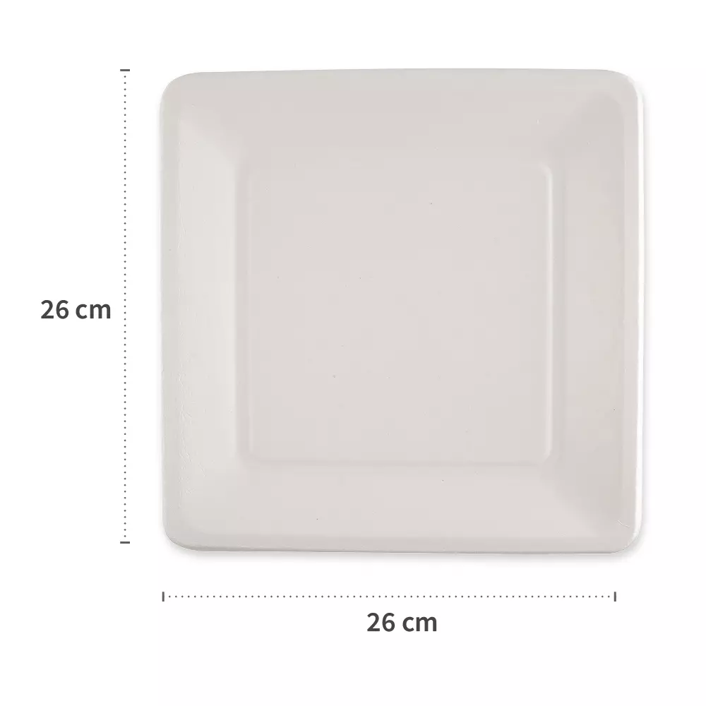 NATUREStar 41028, Bio-Bagasse-Teller, 260 x 260 mm, image 2