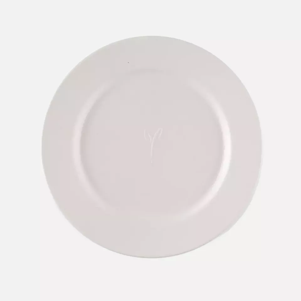 NATUREStar 410170, Gourmet Bagasse Plates, Ø 210 mm, image 1, gallery thumbnail