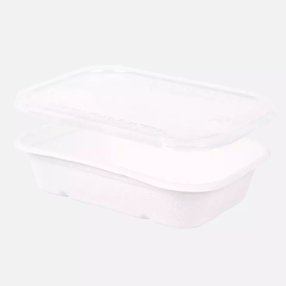 NATUREStar 41145, Casa Organic Bagasse Trays, 500 ml, 175 x 120 x 38 mm, image 2, gallery thumbnail