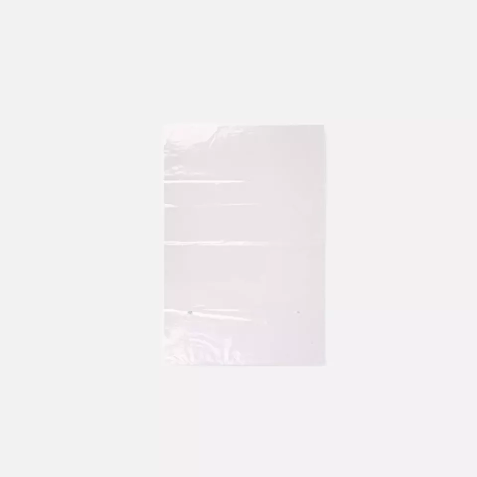 Franz Mensch 955102, LDPE Flat Bags, 200 x 320 mm, image 1, gallery thumbnail